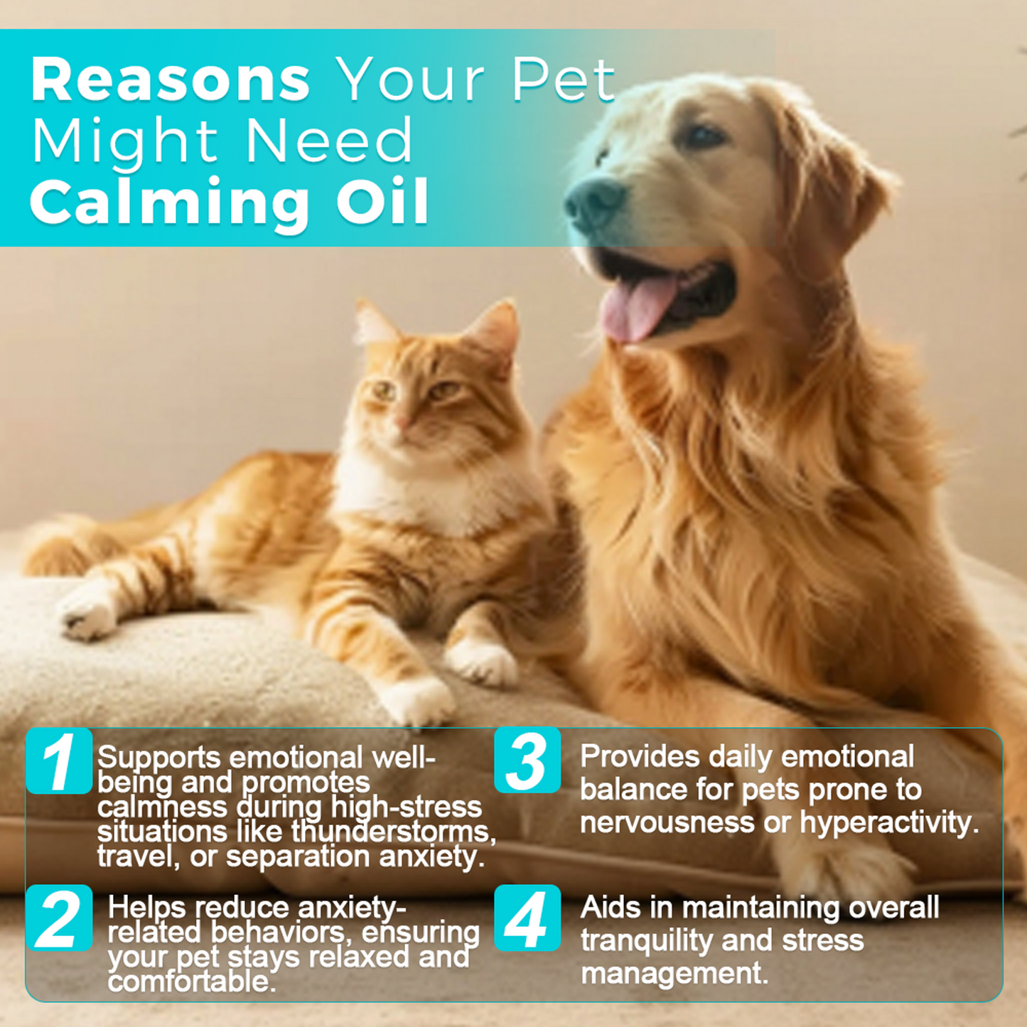 Paws & Relax! Canadian Calming Oil for Cats & Dogs 60mL for Pet Tranquility
