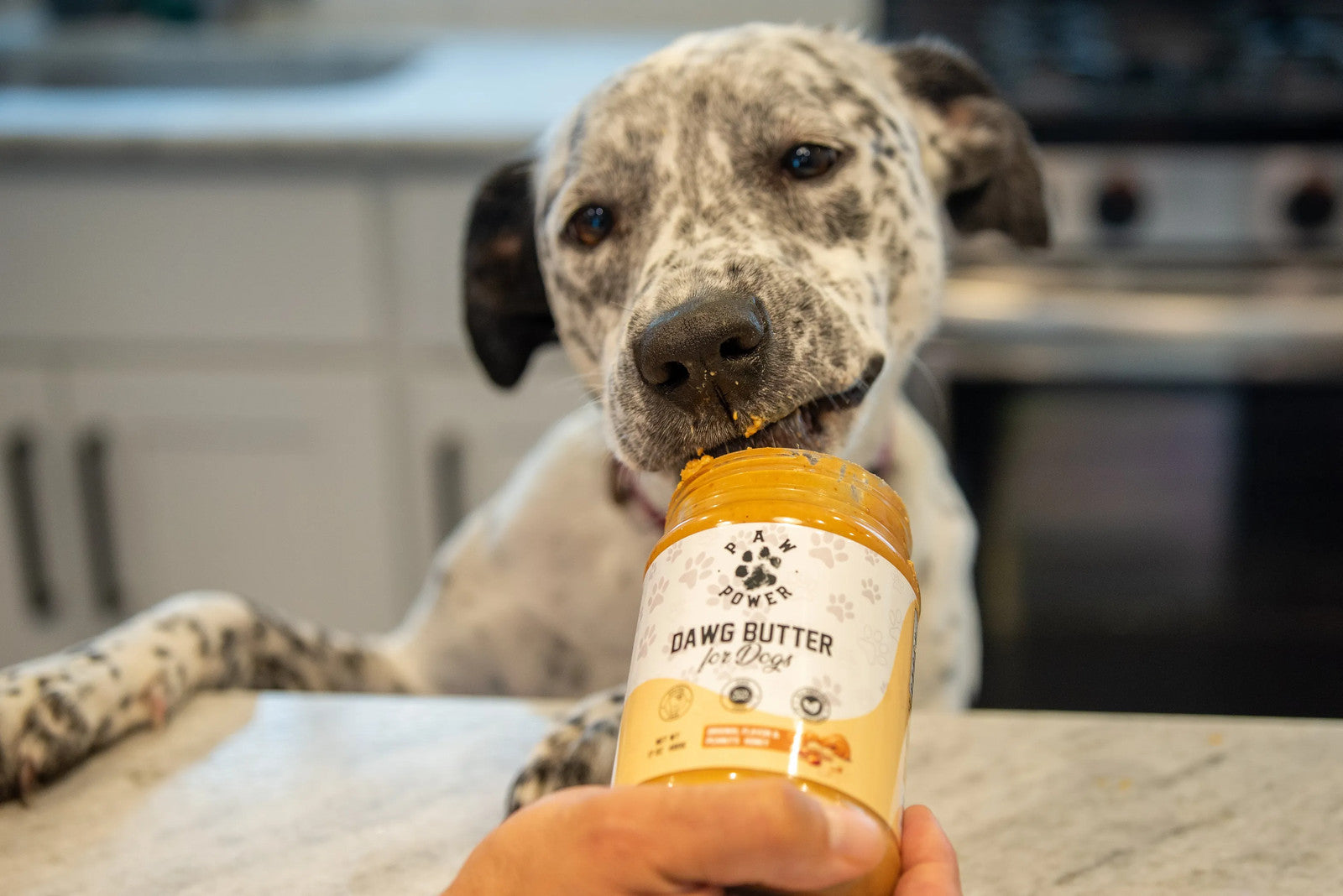 Paw Power Dawg Butter, Original, 17 oz