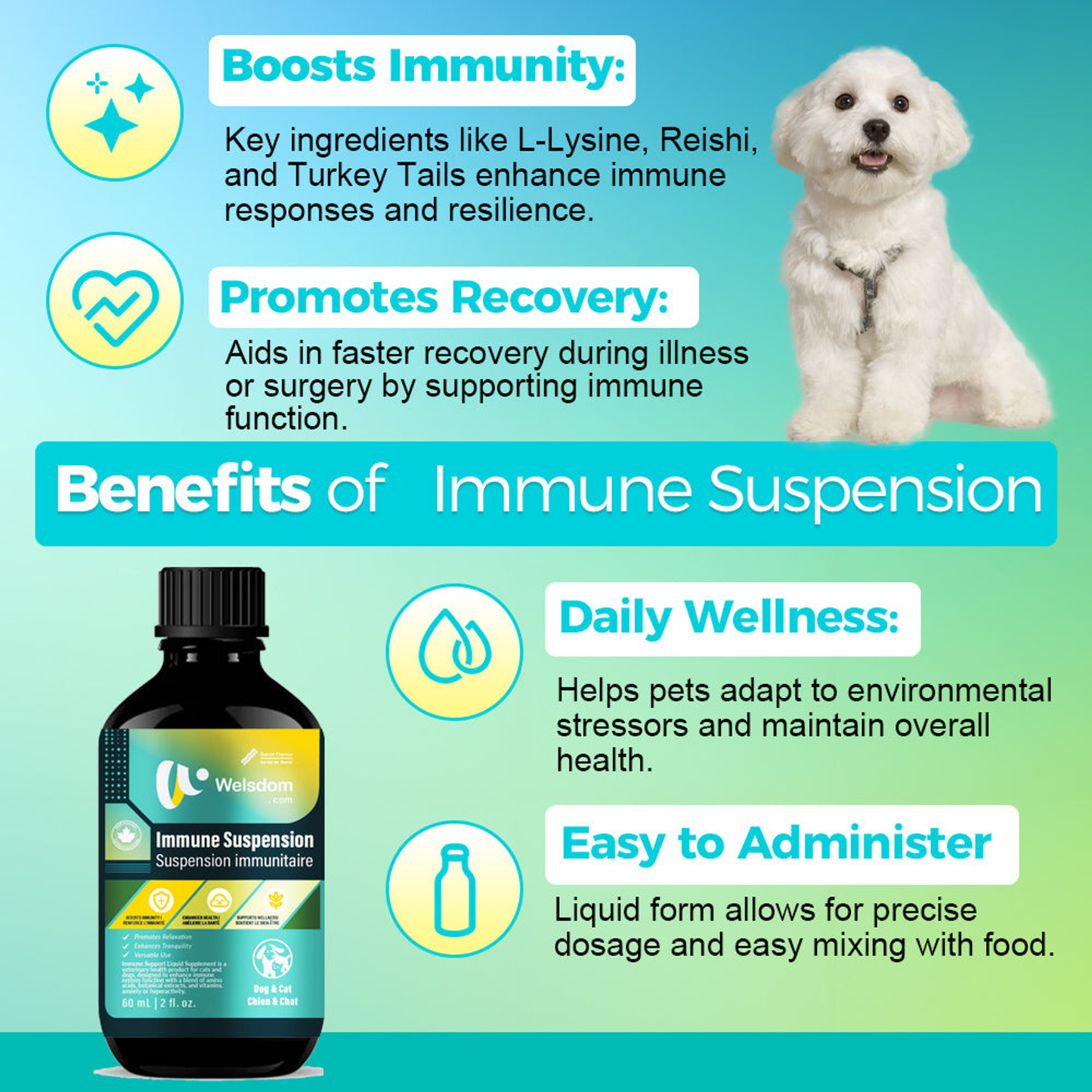 Immune SuspensionLiquid for Cats & Dogs (60mL)