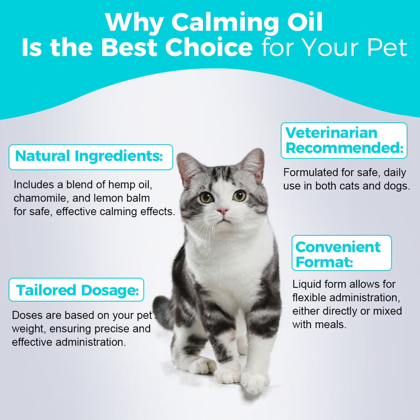 Paws & Relax! Canadian Calming Oil for Cats & Dogs 60mL for Pet Tranquility
