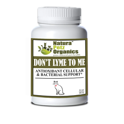 dont lyme to me capsules antioxidant cellular bacterial cat 90 caps 250