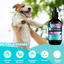 Ear Cleanse Solution for Cats & Dogs - 30mL