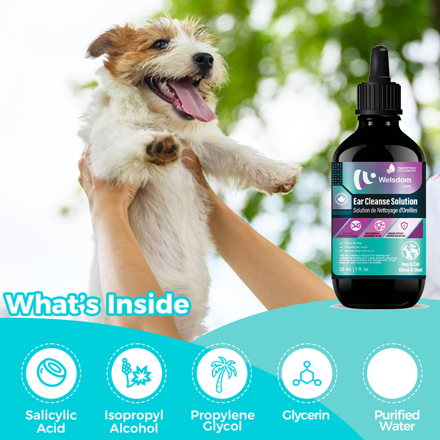 Ear Cleanse Solution for Cats & Dogs - 30mL