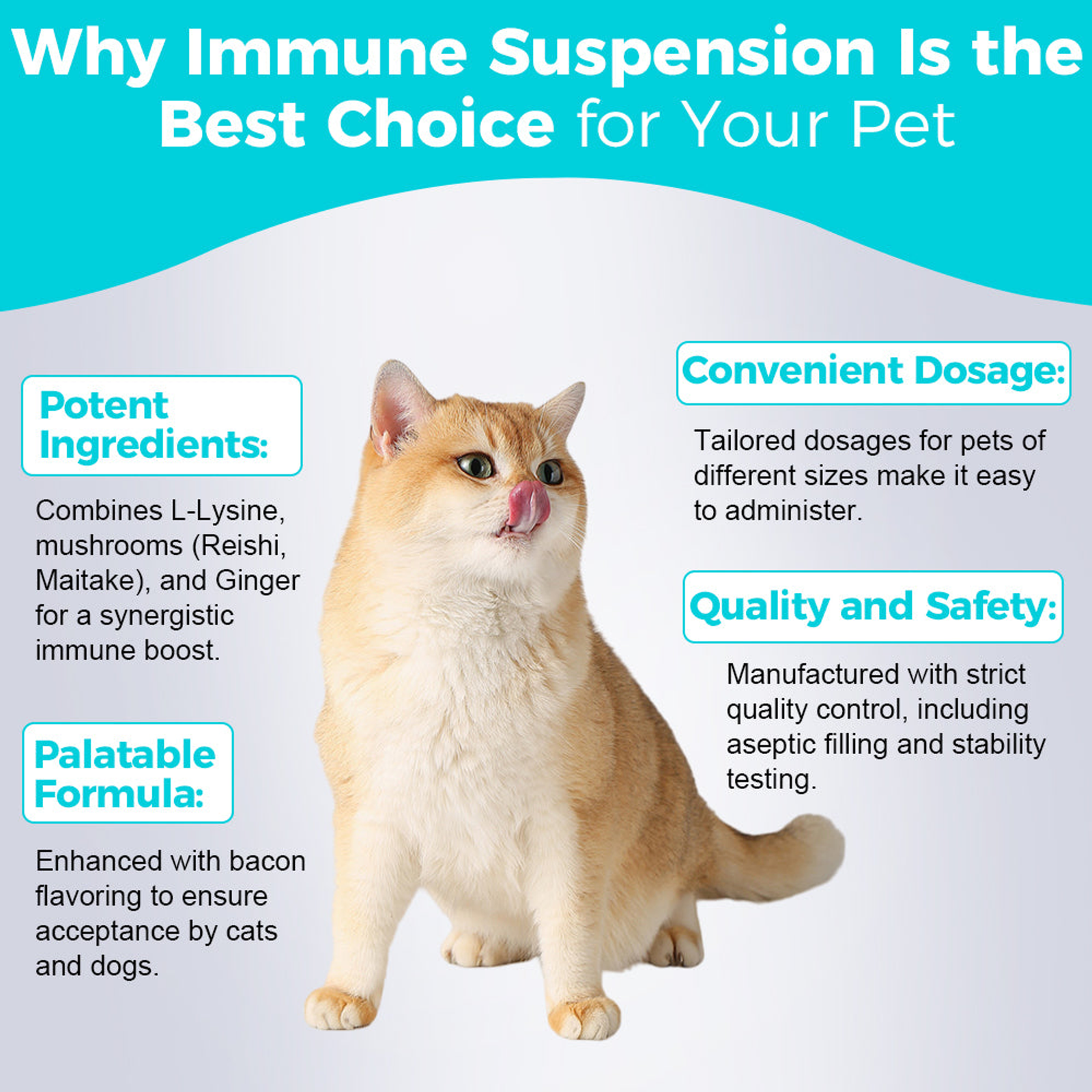 Immune SuspensionLiquid for Cats & Dogs (60mL)