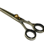 Professional German Salon Hair Cutting Shears Scissors Dog Grooming, 6"