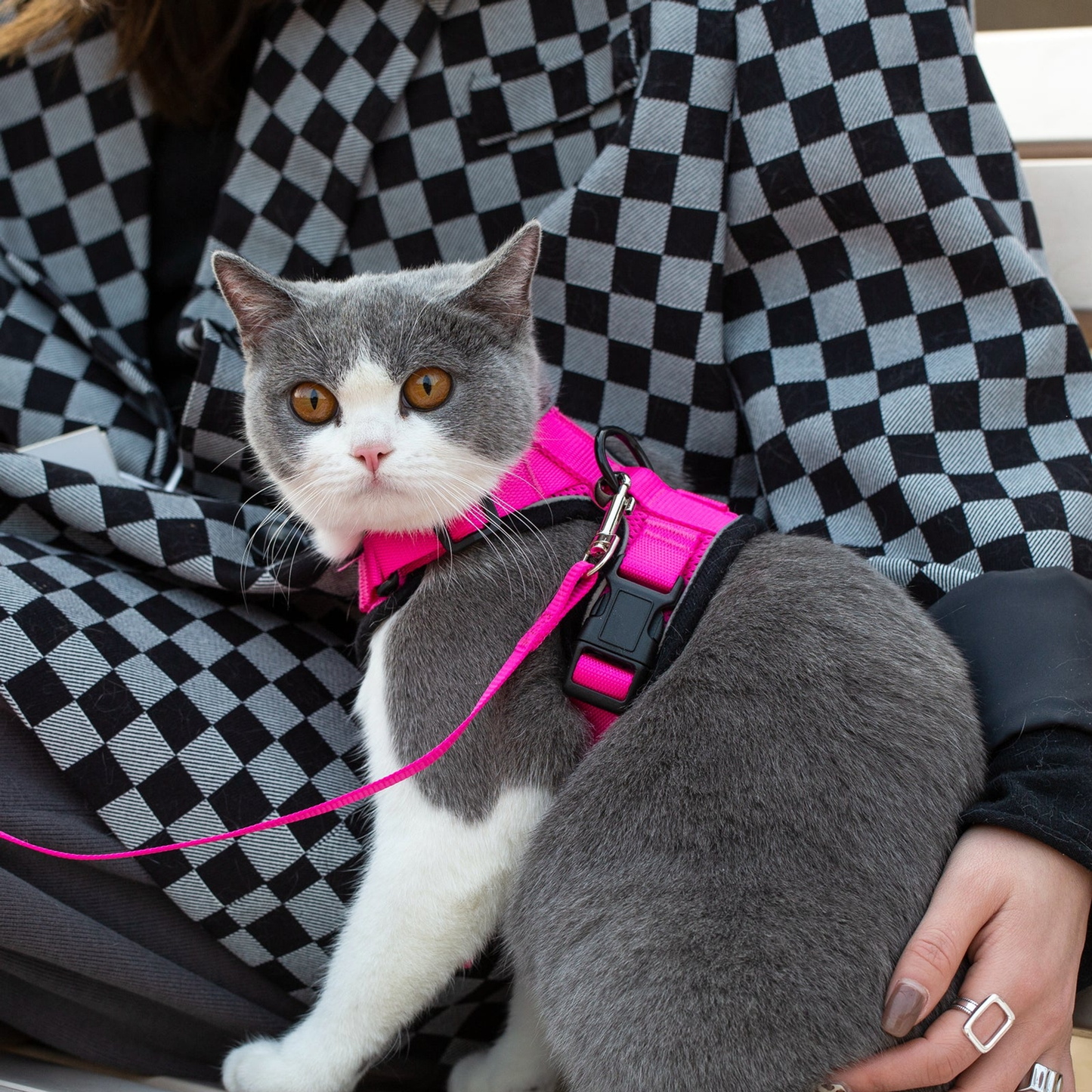 Mr. Peanut's PurrTrek Reflective Cat Harness with Matching Leash, Sm, Pink
