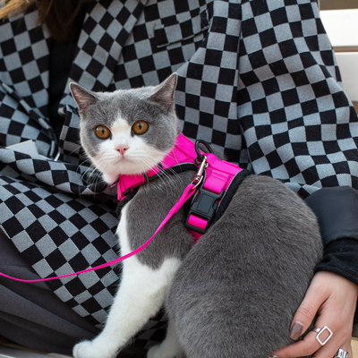 Mr. Peanut's PurrTrek Reflective Cat Harness with Matching Leash, X Sm, Pink