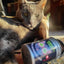 Smokey's Stash Silvervine Haze Potent Catnip and Silver Vine