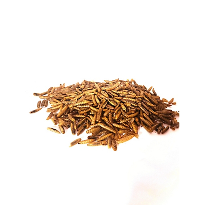 Dried Black Soldier Fly Larvae, 4oz