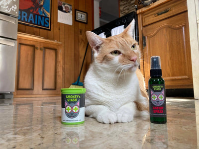 Smokey's Stash Catnip Combo Pk
