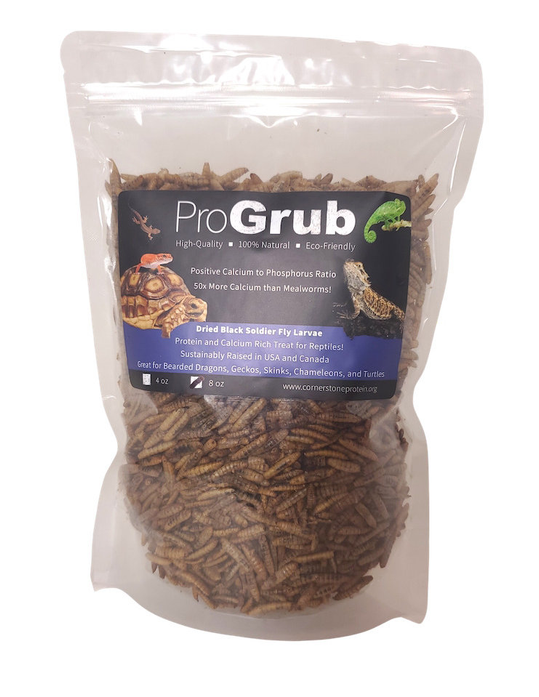 Dried Black Soldier Fly Larvae, 8oz