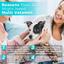 Multi Vitamin Suspension for Cats & Dogs - 240mL