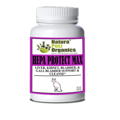 Hepa Protect Maxs - Liver, Kidney, Bladder & Gall Bladder, CAT, 250 mg