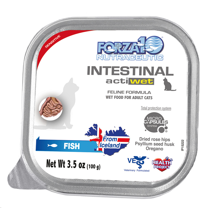 Forza10 Actiwet Intestinal Support Icelandic Recipe Canned Cat Food, 3.5oz/32 Pk