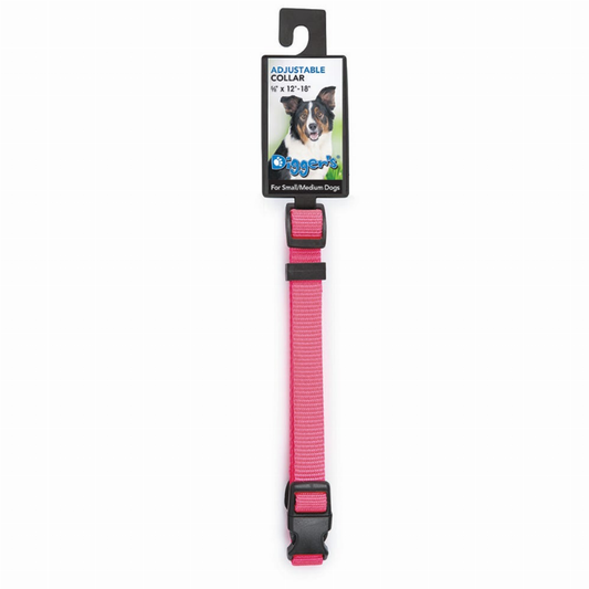 DGR 1in Adjustable Collar Neon Pink Neon Pink