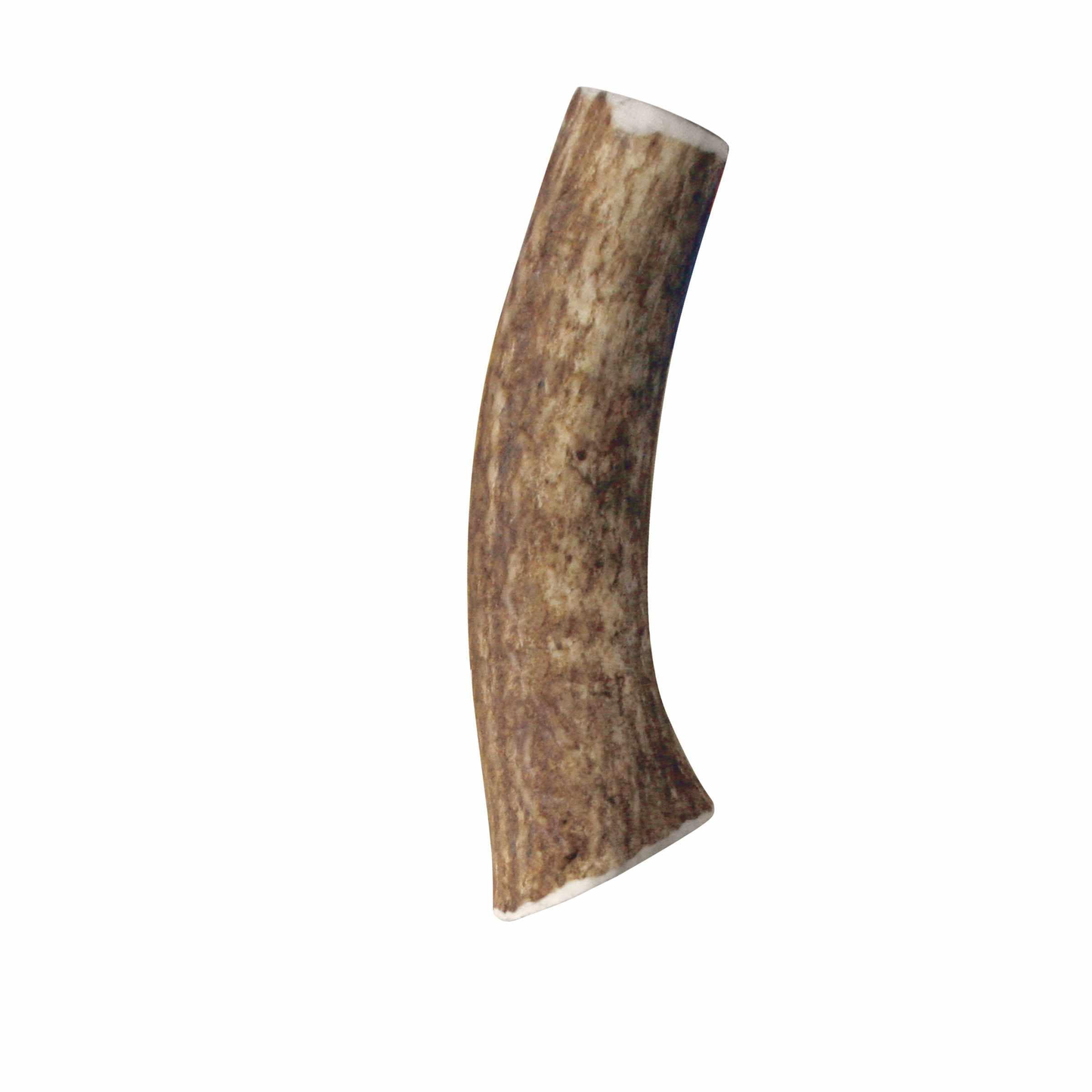 KONG(R) Wild Antler Whole, Medium