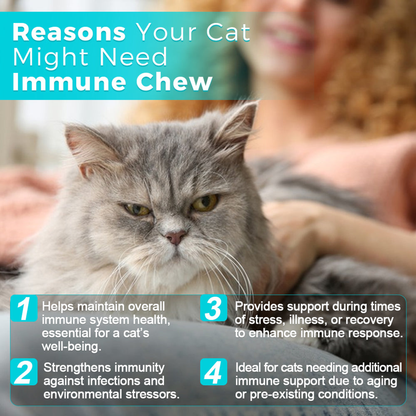 Cat Immune Chews - 60 Chews