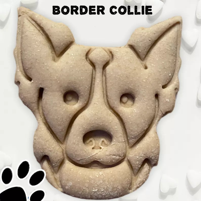 June Bug Dog Breed Dog Cookies, Border Collie