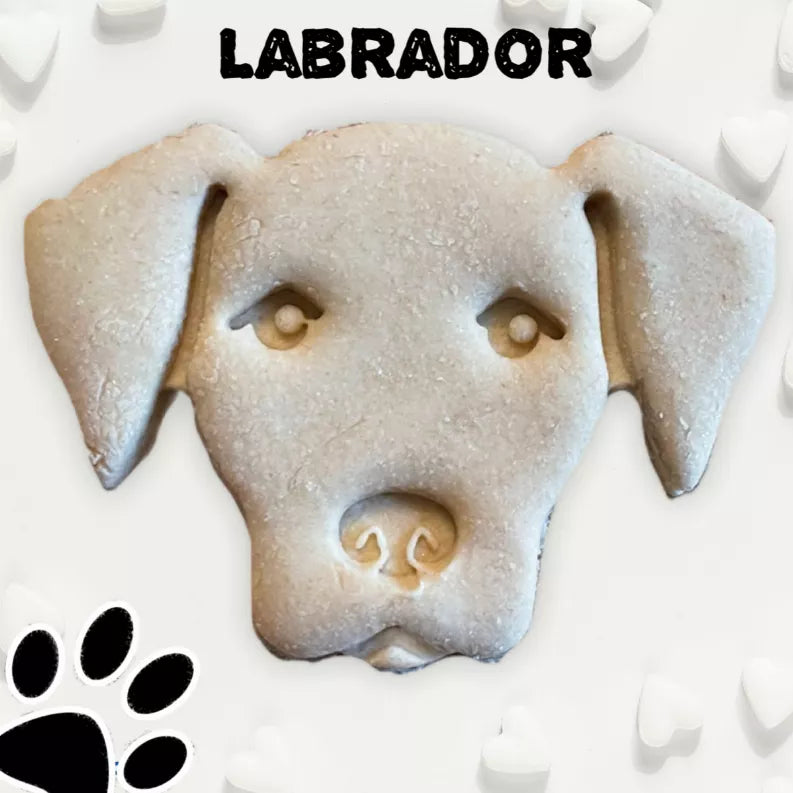 June Bug Dog Breed Dog Cookies Labrador