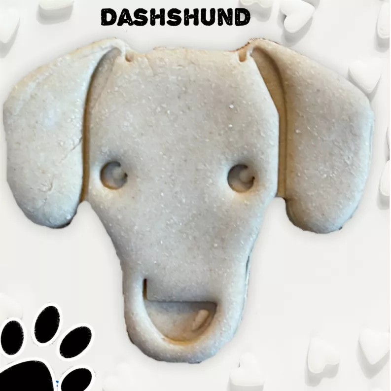 June Bug Dog Breed Dog Cookies Dachshund