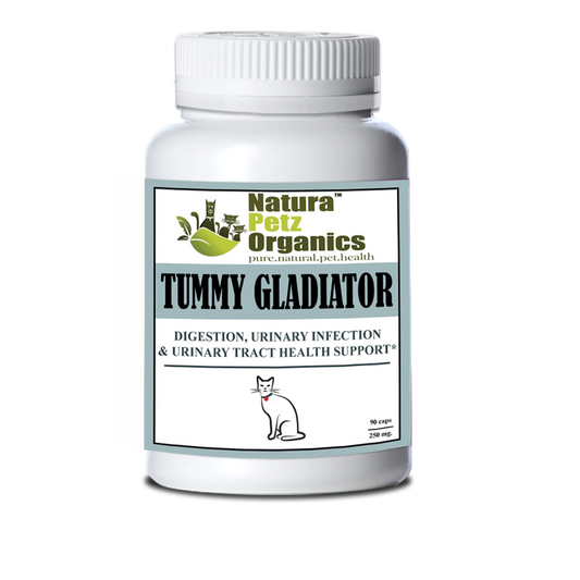Tummy Gladiator - Digestion, Adjunctive Reflux & Urinary Tract for Cats, 90 caps