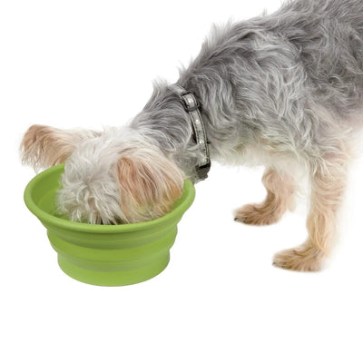 Guardian Gear Bend-A-Bowl | Collapsible Portable Pet Travel Bowl