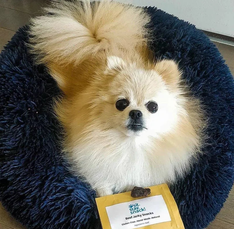 Marshmallow Pets Bed, Large , Blue