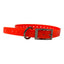 The Buzzard's Roost Replacement Collar Strap | 3/4" x 24" Dog Training