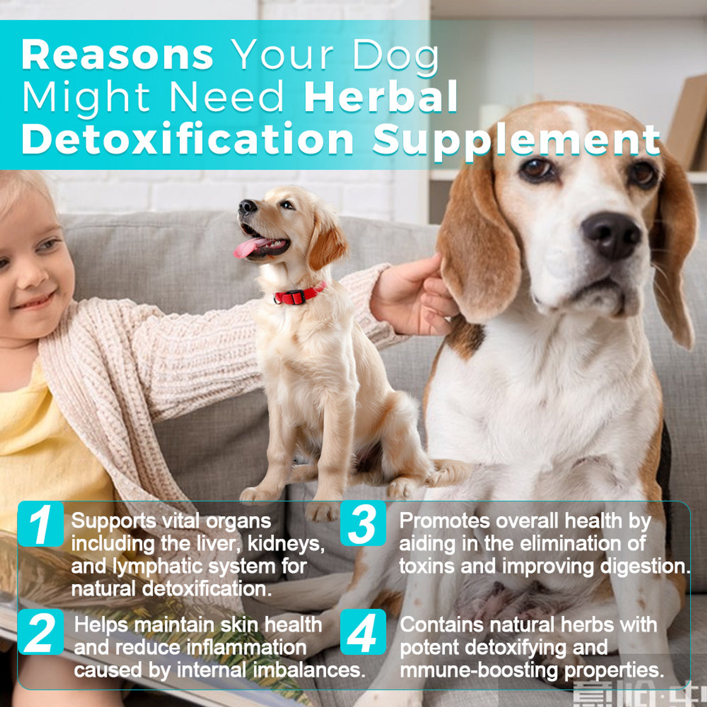 Detoxification Supplement Suspension - 30mL