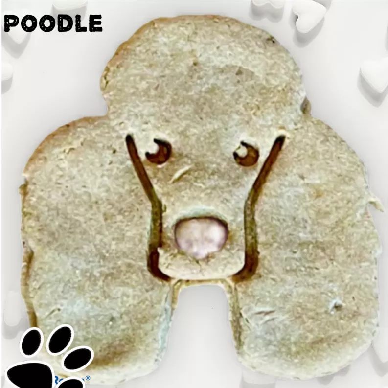 June Bug Dog Breed Dog Cookies Poodle