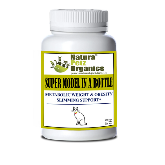 Model In A Bottle - Metabolic Weight/Obesity Slimming, CAT, OD150CATTURK