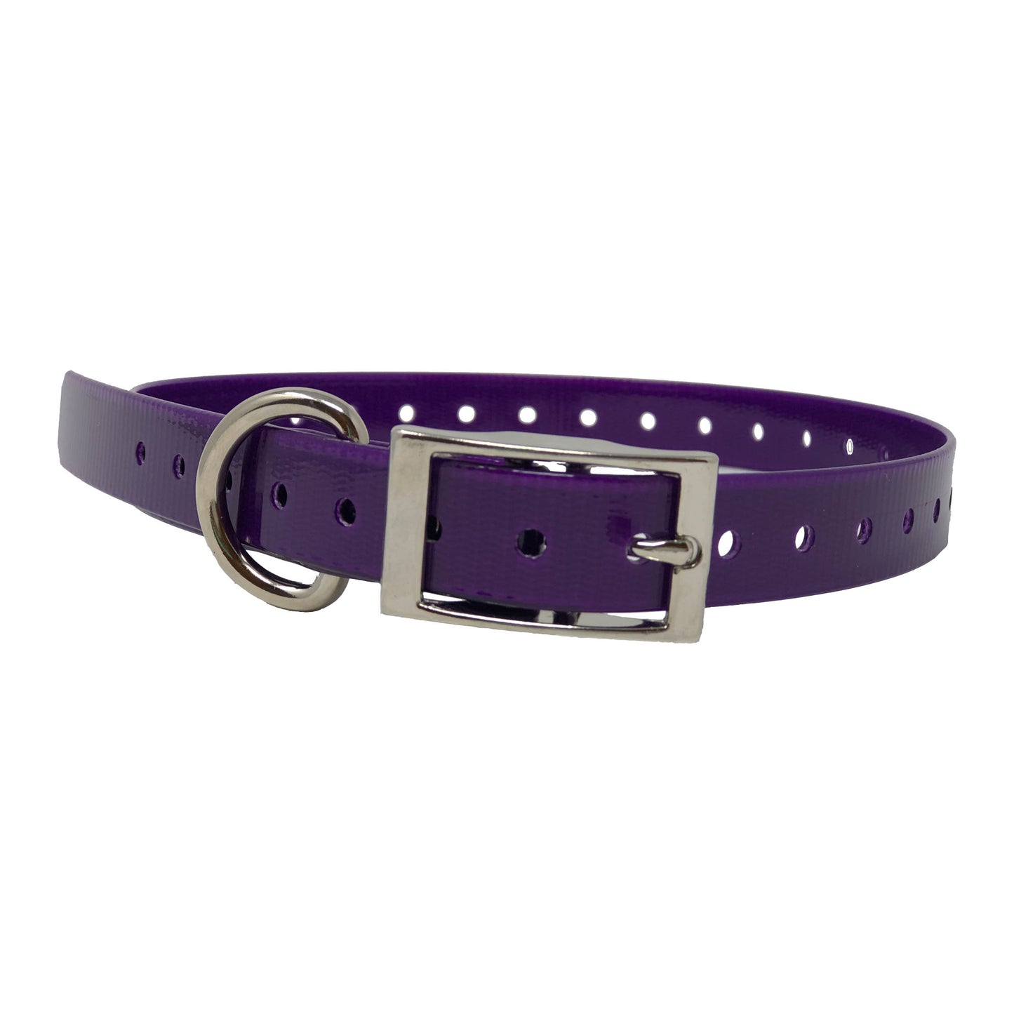The Buzzard's Roost Replacement Collar Strap | 3/4" x 24" Dog Training