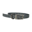 The Buzzard's Roost Replacement Collar Strap | 3/4" x 24" Dog Training