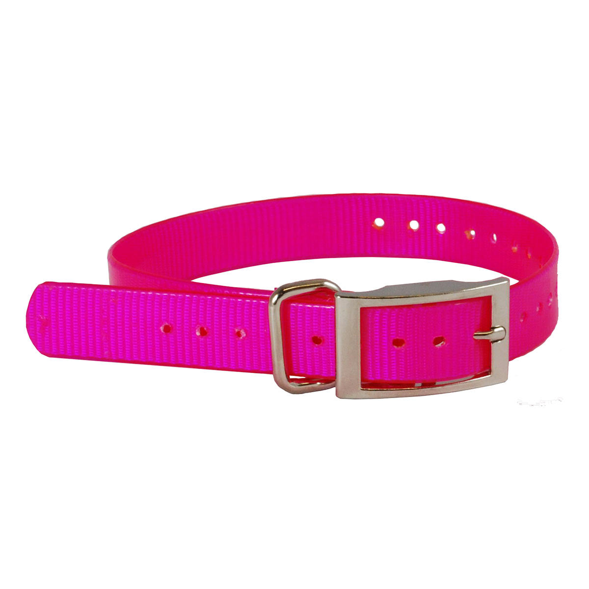 The Buzzard's Roost Replacement Collar Strap 1" Pink 1" x 24"