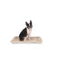 DGS Pet Products Pet Cotton Canvas Sleeper Cushion Small - Select a Color