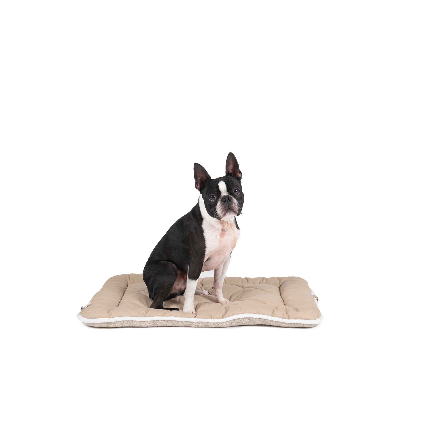 DGS Pet Products Pet Cotton Canvas Sleeper Cushion Small - Select a Color