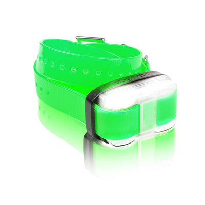 Dogtra EDGE Extra Dog Collar – 1 Mile Range Waterproof Receiver, Green
