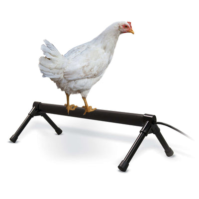 K&H Pet Products Thermo-Chicken Heated Perch - Gray, 36-Inch