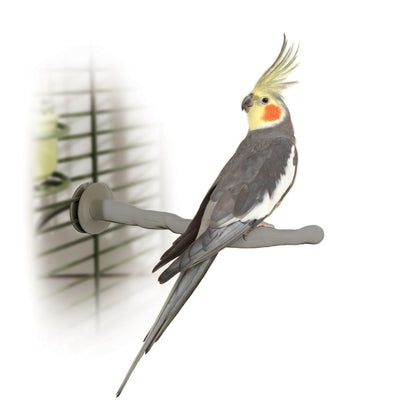K&H Pet Products Heated Bird Thermo-Perch – Gray Orthopedic Perch 10.5″ x 1″ x 1″