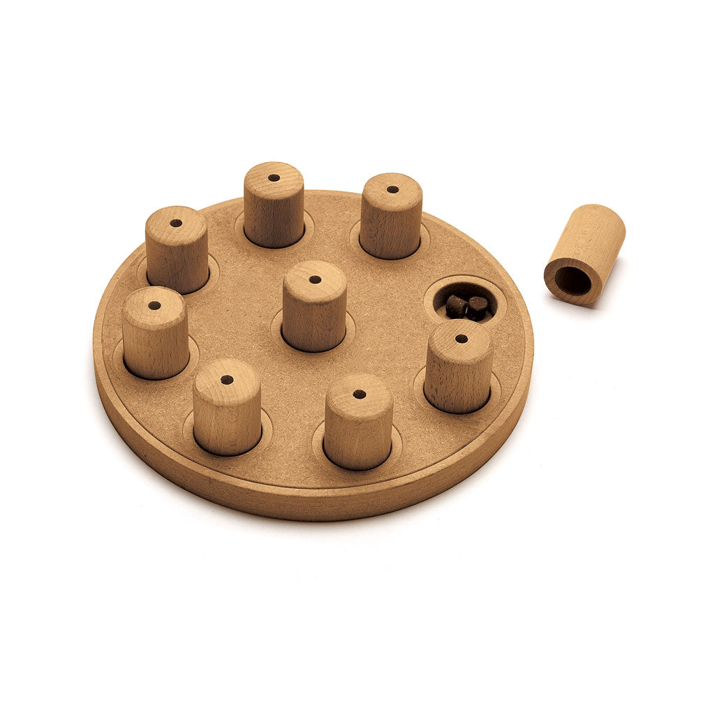 Outward Hound Nina Ottosson Dog Smart Level 1 Composite Puzzle Toy