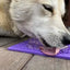 SodaPup Bones Design Dog Enrichment Lick Mat – Purple Silicone Mat