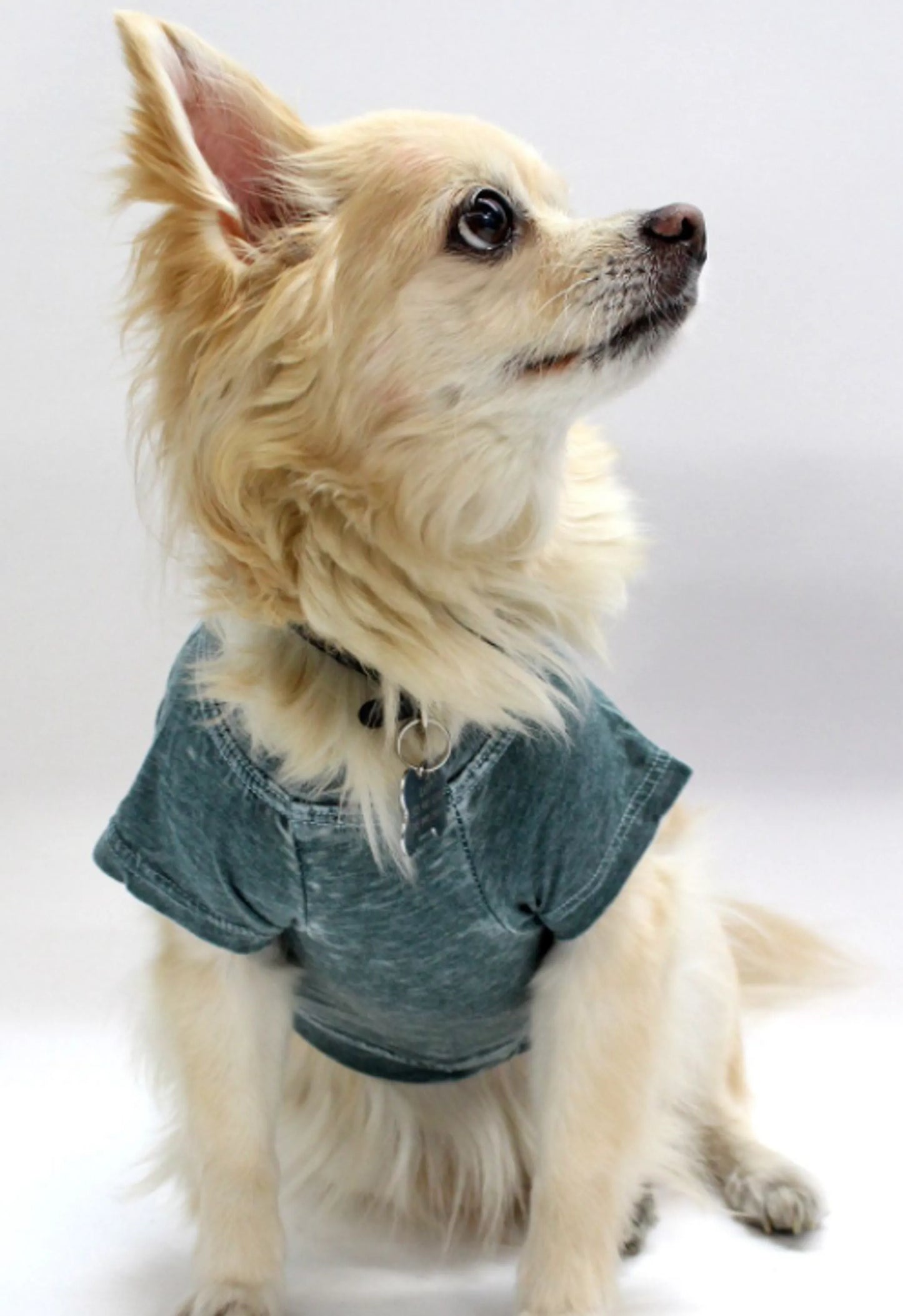 Doggy Hoodie French Terry, - Choose Size/Color