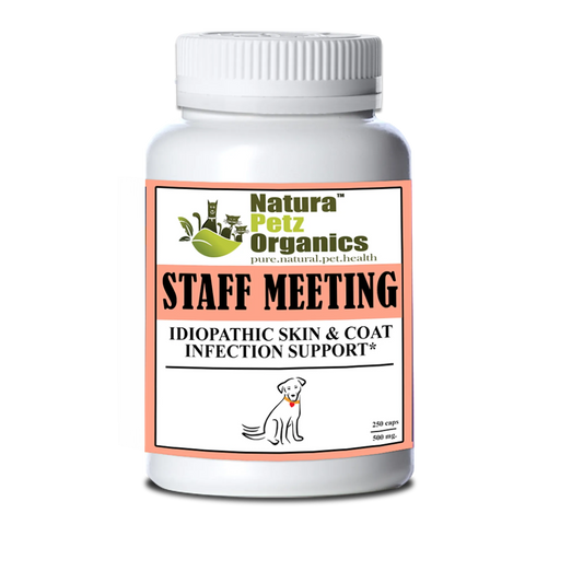 Staff Meeting Idiopathic Skin & Coat Infection, DOG 150 Caps - 500 mg. Size 1