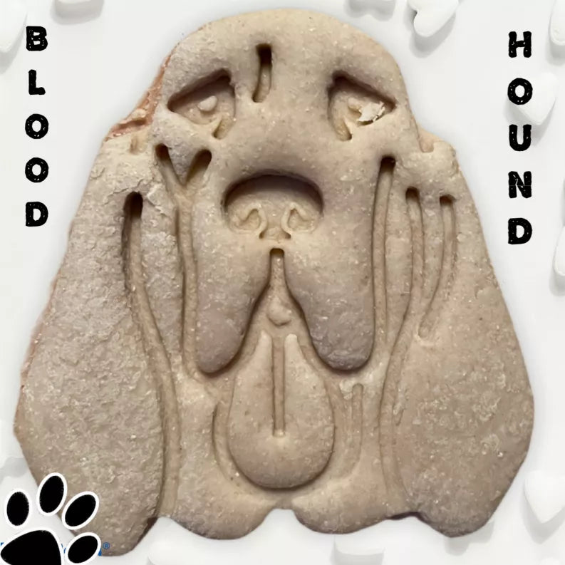 June Bug Dog Breed Dog Cookies Blood Hound