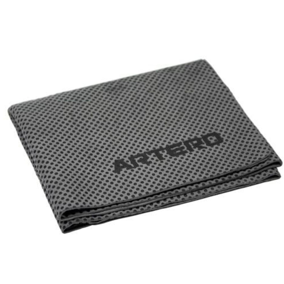 ART Ionized Carbon Ultra Absorbent Towel