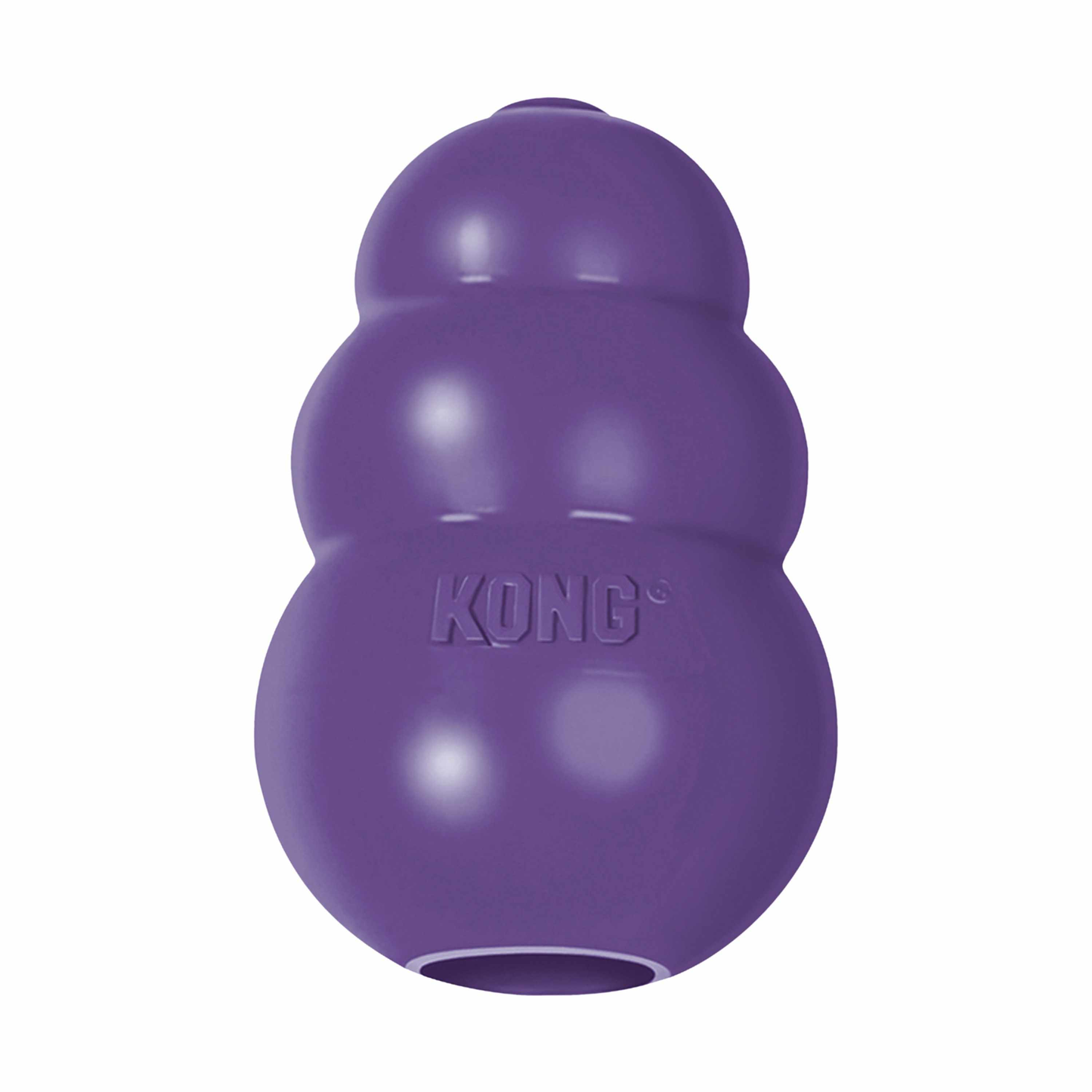 KONG(R) Senior Dog Chew Toy Small