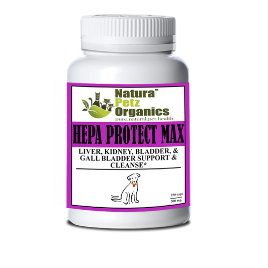 Hepa Protect Max Capsules - Liver, Kidney, Bladder/Gall Bladder, DOG