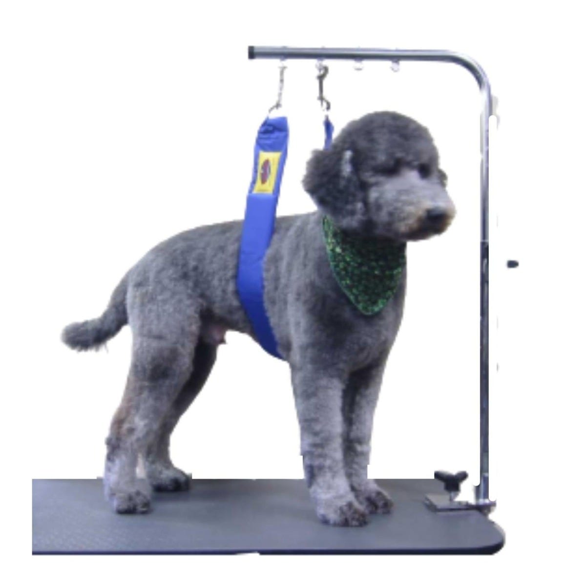 Blue belly band for dogs, designed to prevent sitting during grooming.