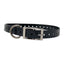 The Buzzard's Roost Replacement Collar Strap | 3/4" x 24" Dog Training