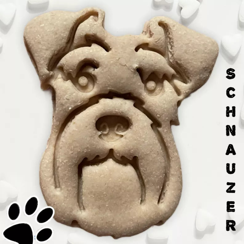 June Bug Dog Breed Dog Cookies Schnauzer